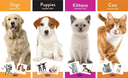 cats calen.webp