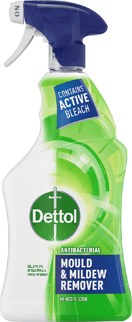 Dettol Mould & Mildew 750ml