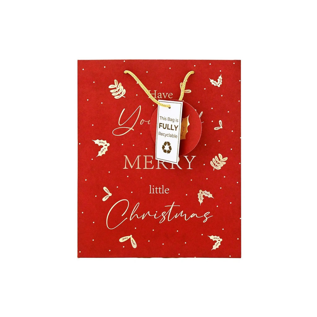 [1078385] Giftmaker Merry Xmas Medium Gift Bag