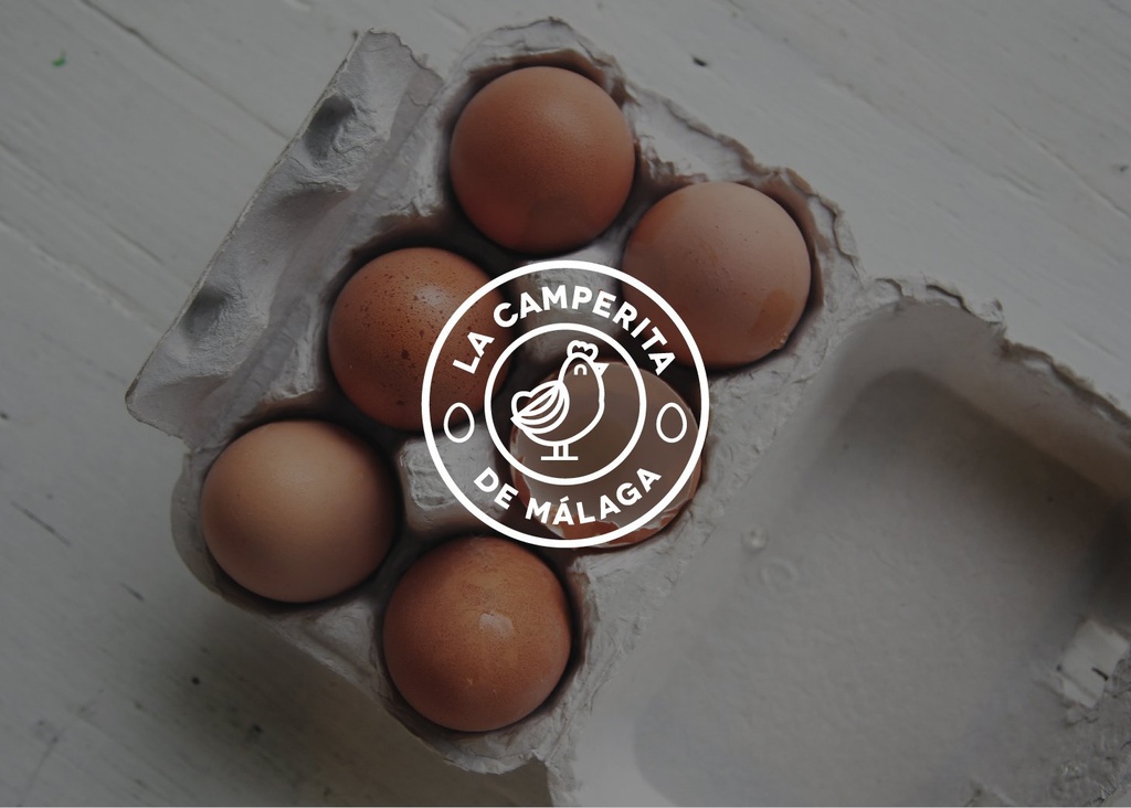 Free Range Eggs x6
