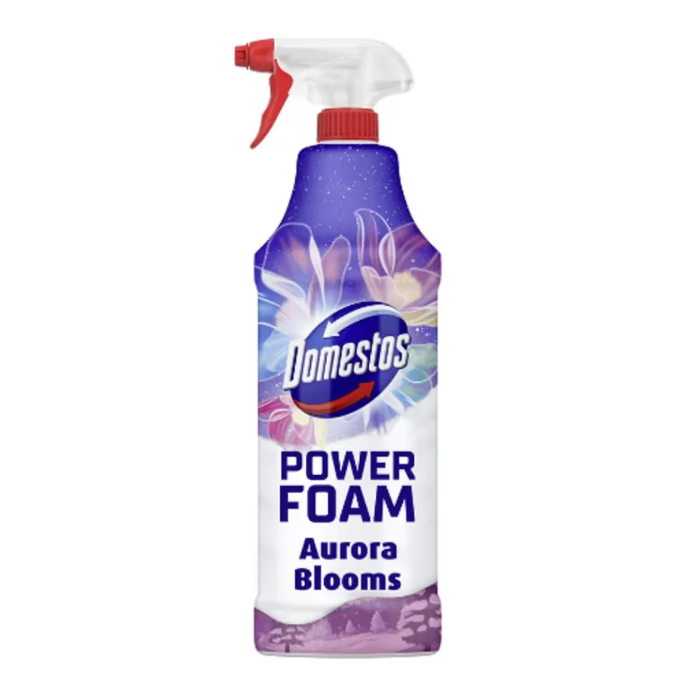 [49429] Domestos Power Foam Aurora Blooms Winter 650ml