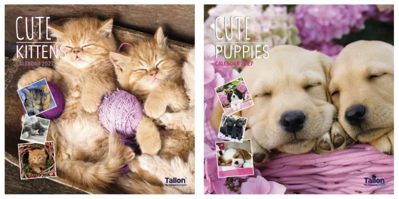 Tallon Square Calendars Kittens & Puppies